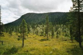 Muddus Nationalpark